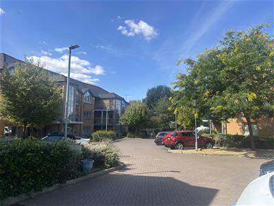 Picture 19